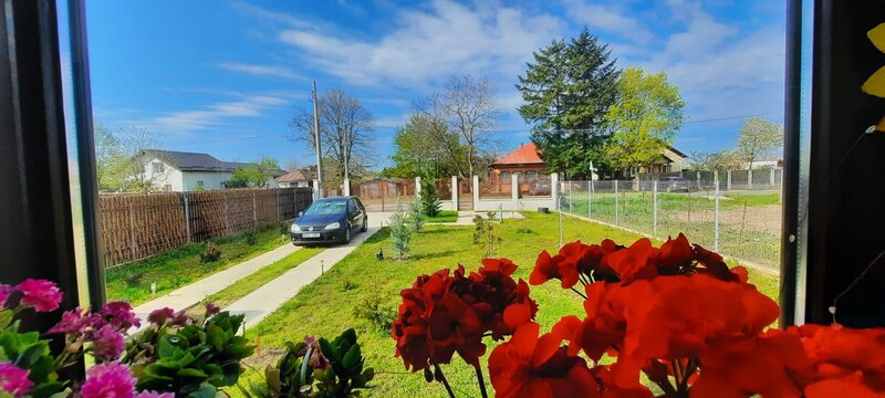 Buturugeni, casa 2023 si cabana, langa Bucuresti 20 km, proprietar